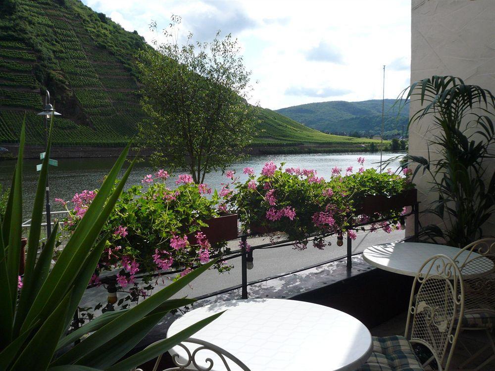 Mosel-Landhaus Am Moselufer B&B Briedern 外观 照片