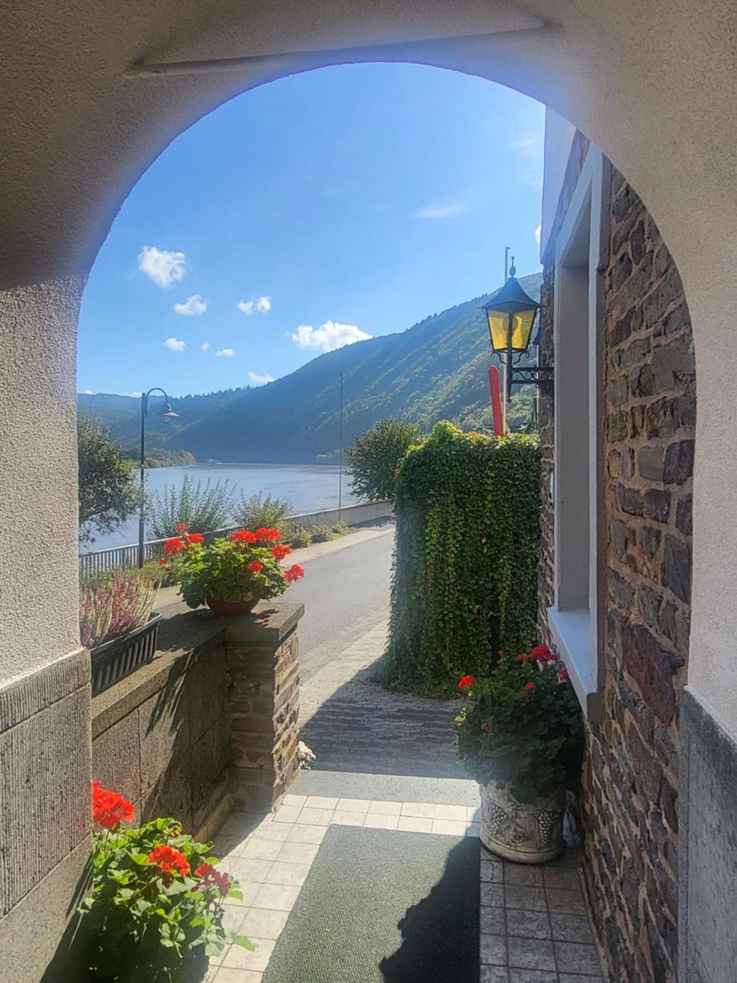 Mosel-Landhaus Am Moselufer B&B Briedern 外观 照片