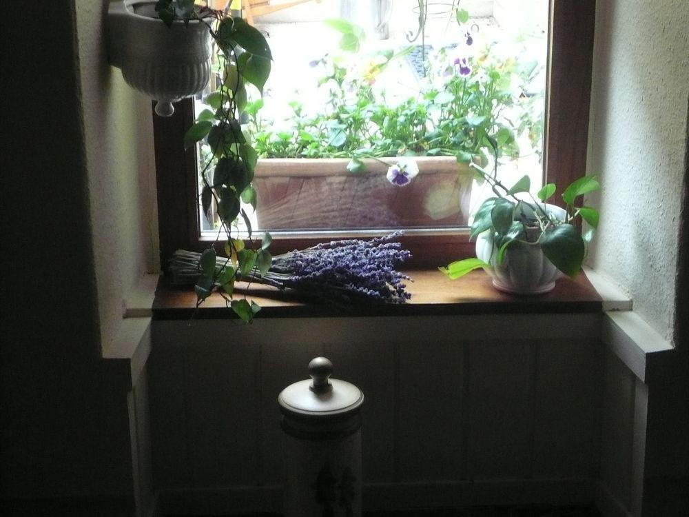 Mosel-Landhaus Am Moselufer B&B Briedern 外观 照片